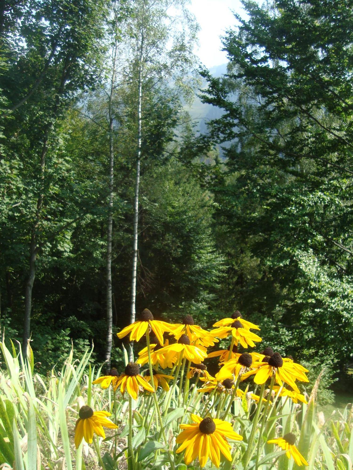 Semmering Villa Sonnenschein Zewnętrze zdjęcie